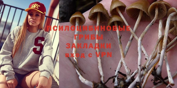 молекула духа Аша