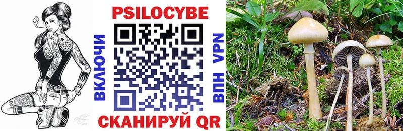 Галлюциногенные грибы прущие грибы Валдай